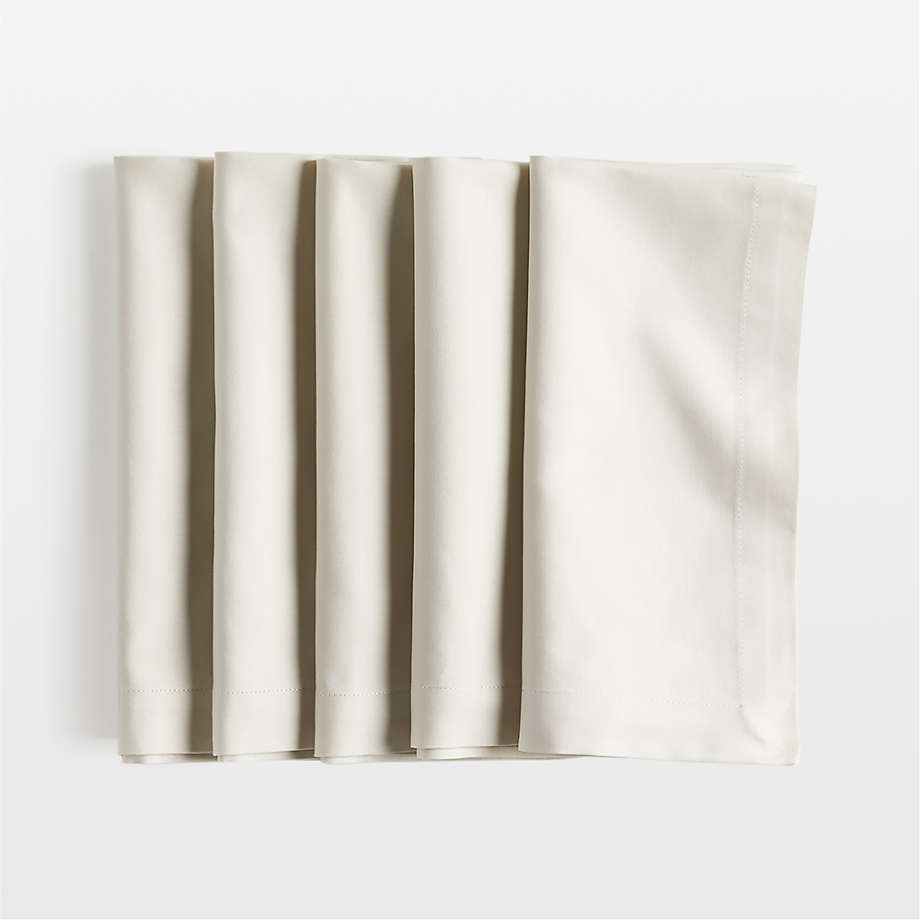 Cloth Napkin Set, Linen Viskose Sage Green Napkins, Linen Placemats Set of  2, 4, 8, 10 
