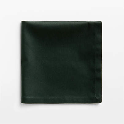 Aspen Spruce Green Organic Cotton Napkin, Set of 4