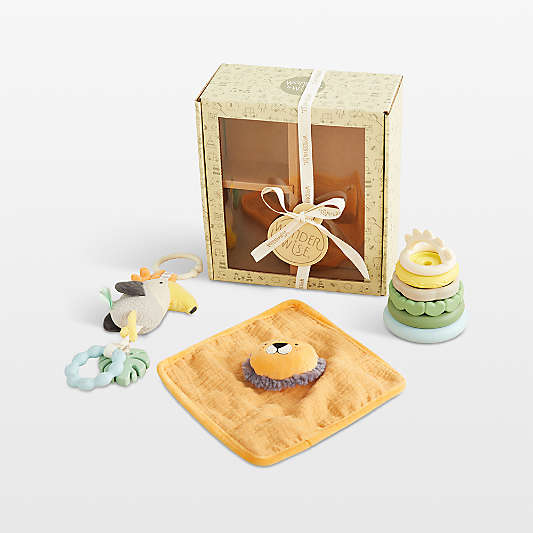 Wonder & Wise by Asweets 3-6 Month Hello Baby Gift Set
