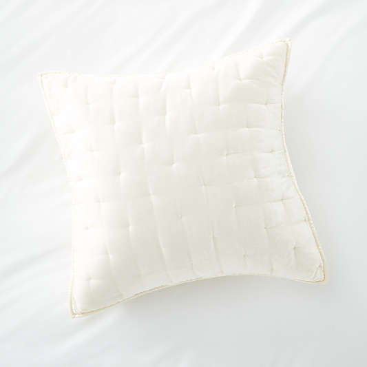 Audra Velvet Ivory Euro Sham