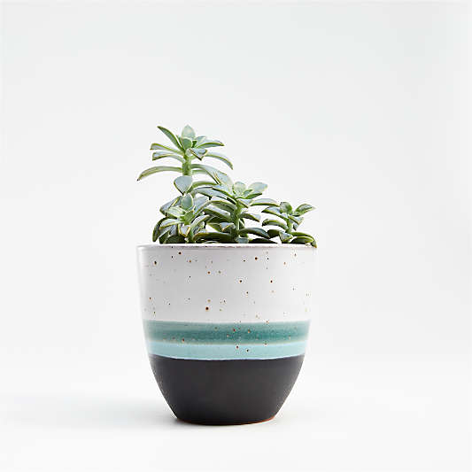 Aveiro Small Blue Planter