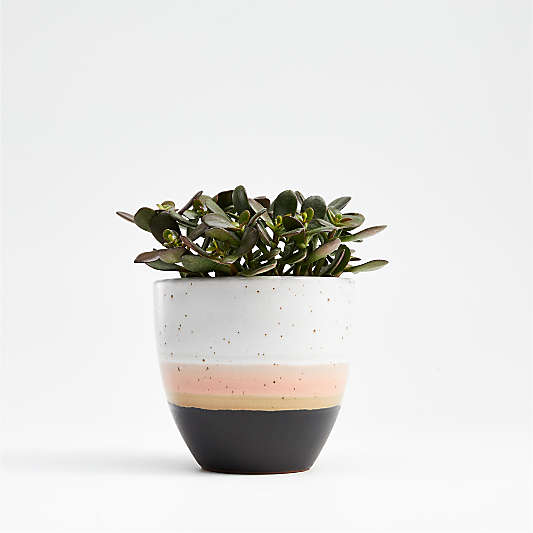 Aveiro Small Blush Planter