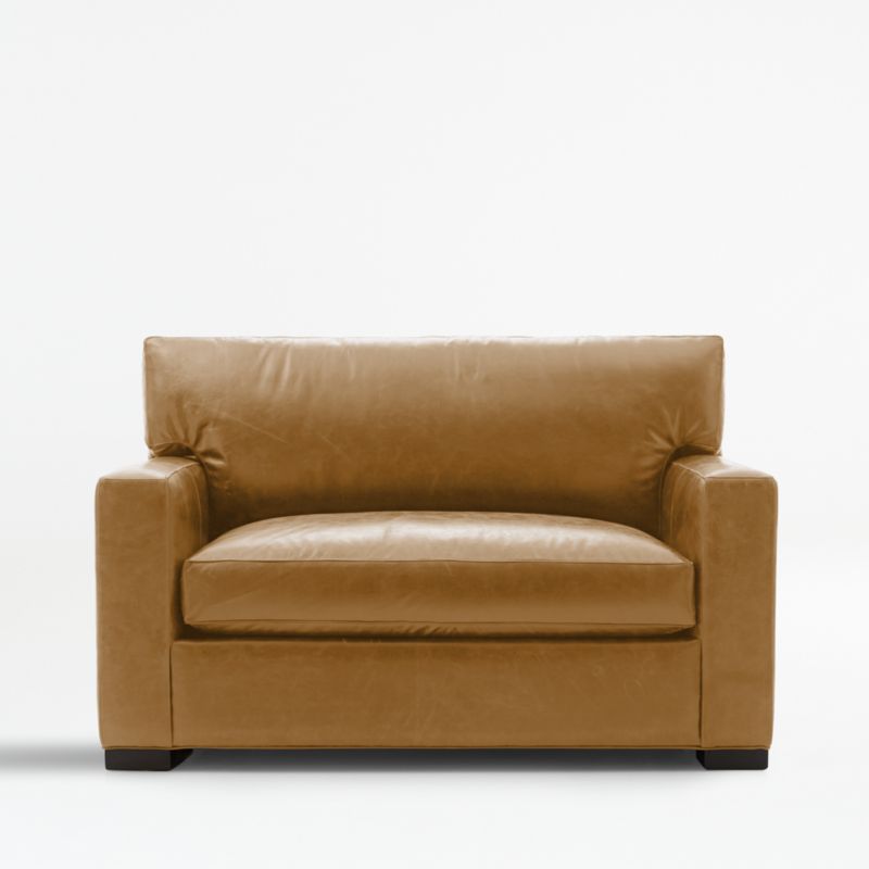 Axis Leather Twin Sleeper Sofa - image 0 of 7