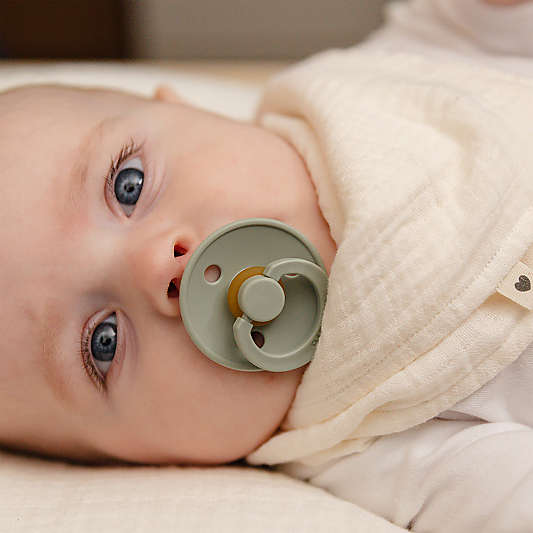 BIBS Sage Try It Collection Latex Baby Pacifiers