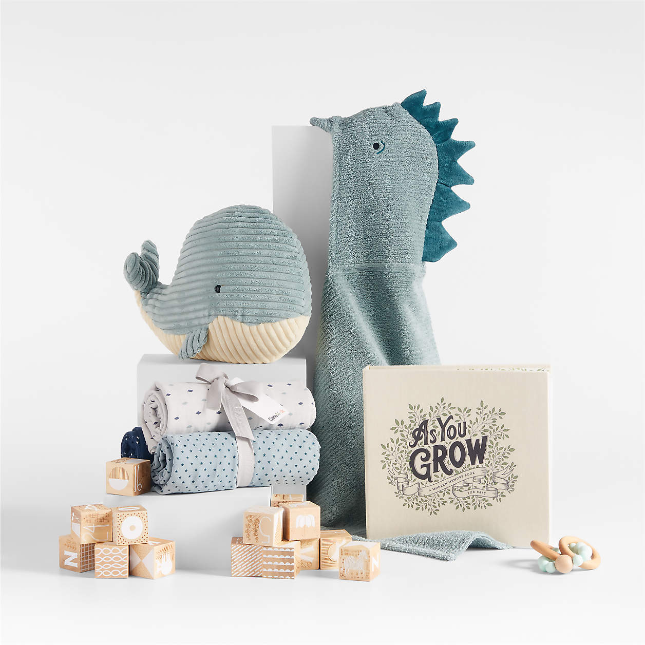 Baby Shower Boy Gift Bundle Crate & Kids