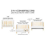 View Babyletto Lolly White & Natural 3-in-1 Convertible Crib with Toddler Bed Conversion Kit - image 10 of 13