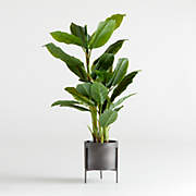 52" Faux Large Leaf Philodendron Plant