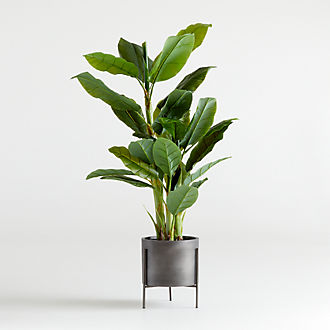 Home Accents
