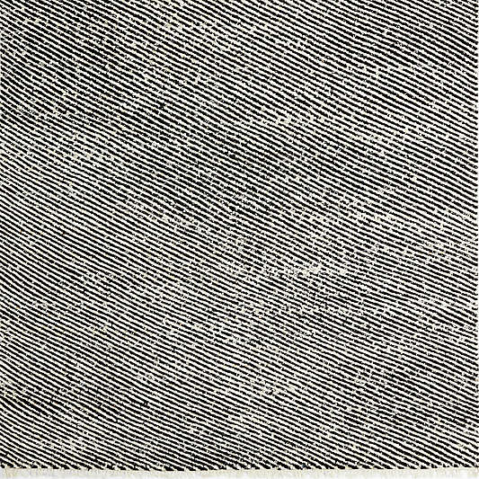 Basel Wool Hand-Knotted Black Area Rug 8'x10'