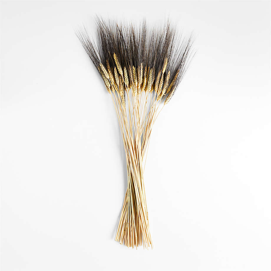 30 Pampas Grass Bundle: Gold