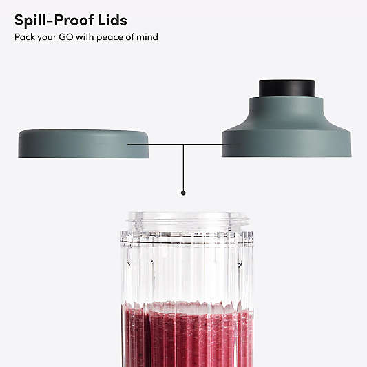 Beast GO Cordless Blender in Mist