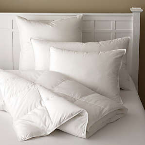 Premium Pillow Insert, Hypoallergenic — Signature HomeStyles