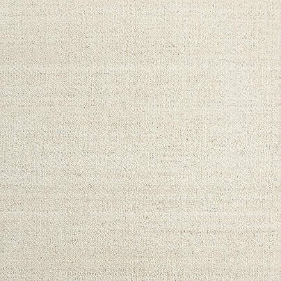 Big Sur Wool Handwoven Ivory White Area Rug 6'x9'