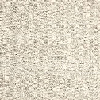 Big Sur Wool Handwoven Light Beige Area Rug 6'x9'