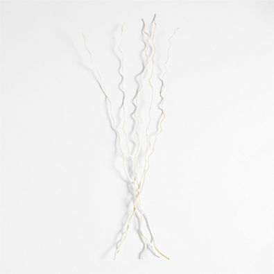 View Dried Curly Willow Branches, Set of 5 details
