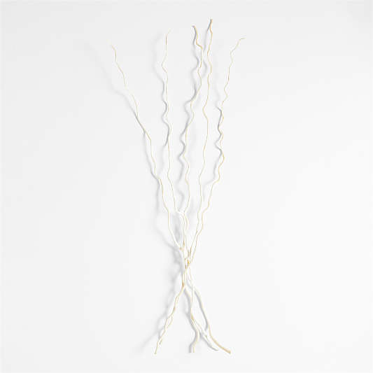 Dried Curly Willow Branches, Set of 5