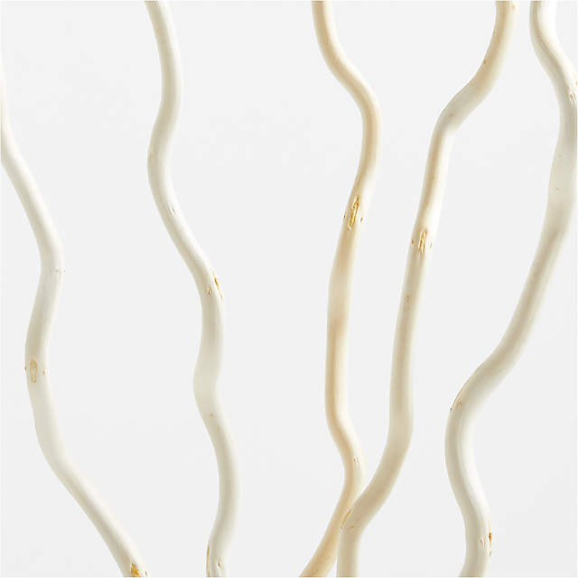 Corkscrew Willow Decorative Branches Curly Willow Branches Bleach