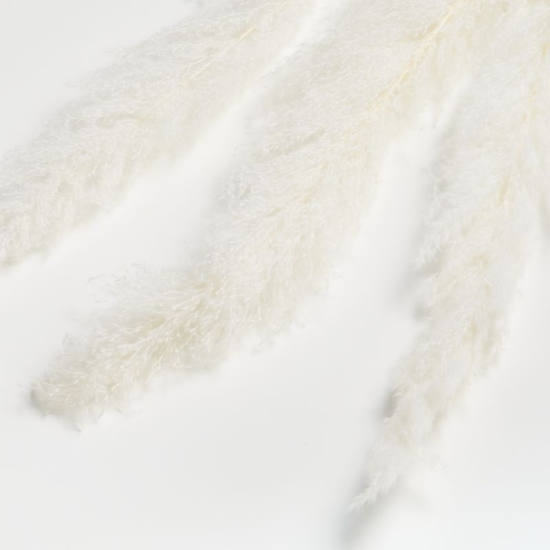 Bleached Grass Plume Dried Botanicals