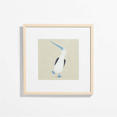 Blue Footed Bird Framed Wall Art Print