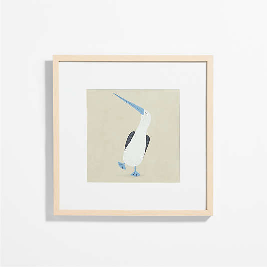 Blue Footed Bird Framed Wall Art Print