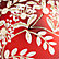 Red and White Botanical