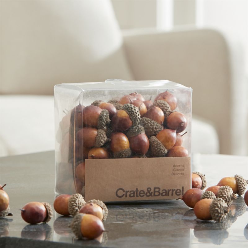 Oak Tree Acorns Bowl & Vase Filler + Reviews Crate & Barrel