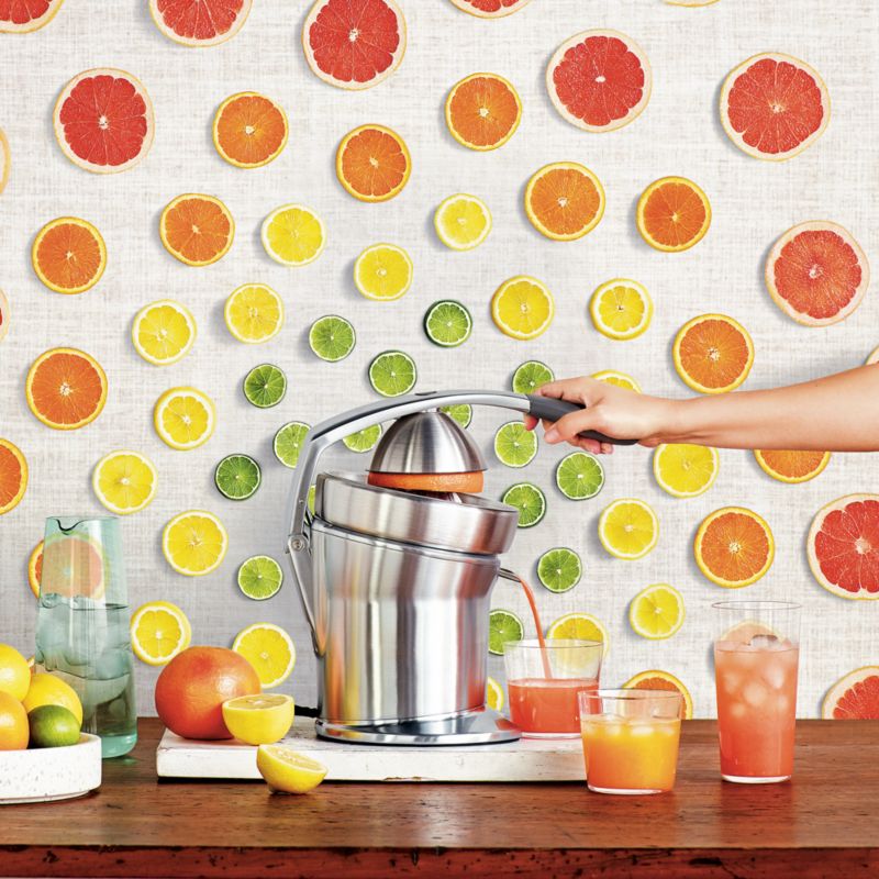 Breville ® Citrus Press ™ Pro Stainless Steel Electric Juicer - image 1 of 4