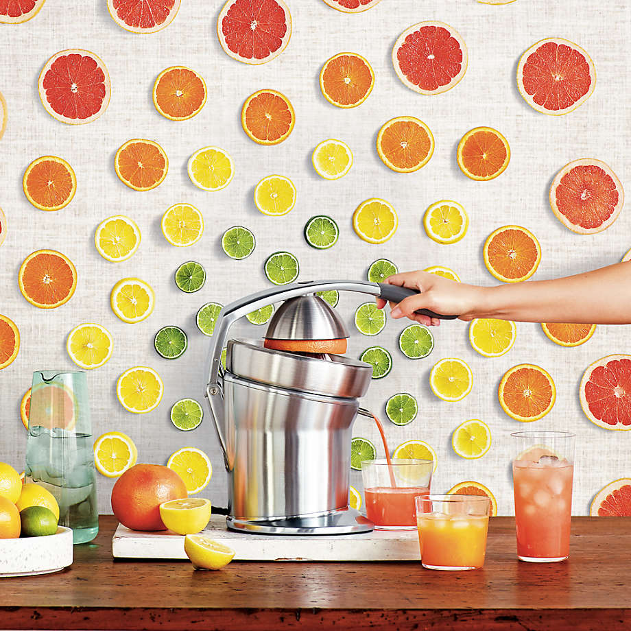 Breville Die Cast Brushed Stainless Steel Electric Citrus Press