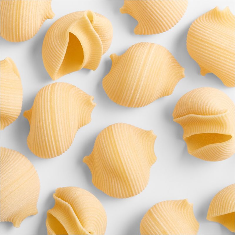 Borgo Di Medici Organic Lumaconi Italian Pasta - image 1 of 2