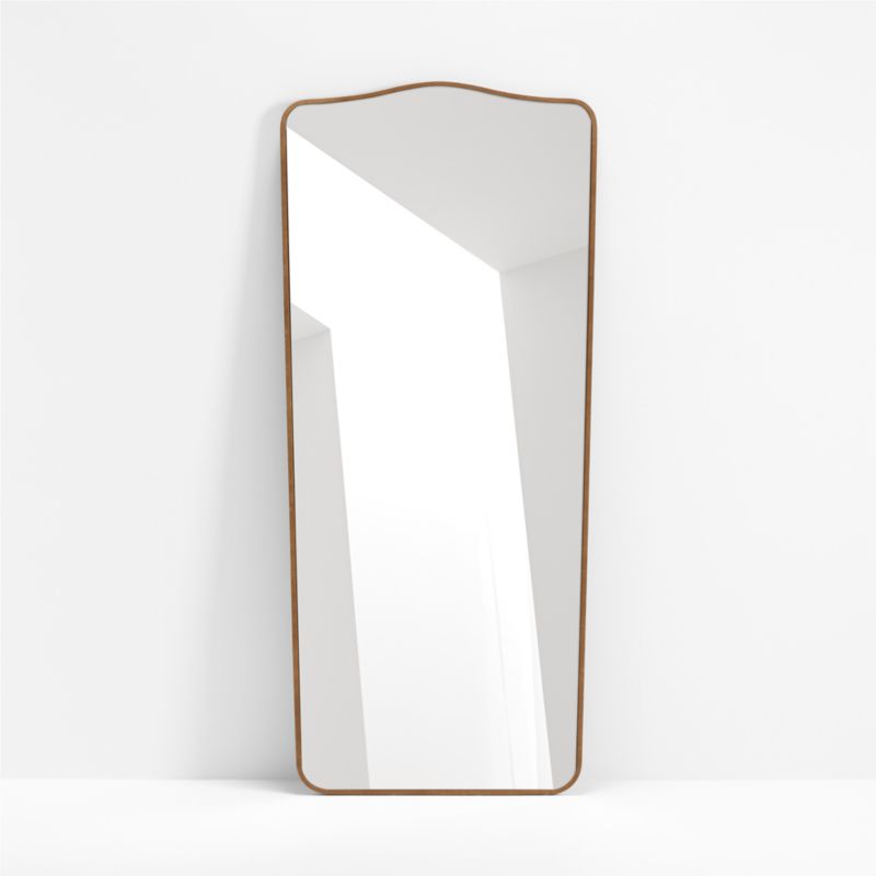 Briars Brown Suede Border Floor Mirror by Jake Arnold 34"x76" - image 3 of 6