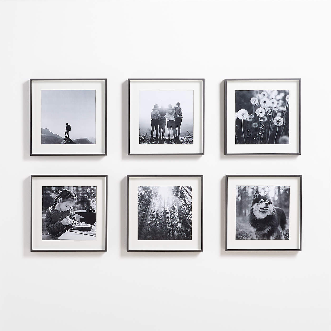 6-Piece Brushed Black 11x11 Gallery Wall Picture Frame Set + Reviews ...