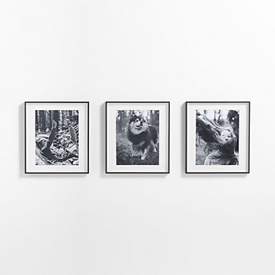 View 3-Piece Brushed Black 11x14 Gallery Wall Frame Set details