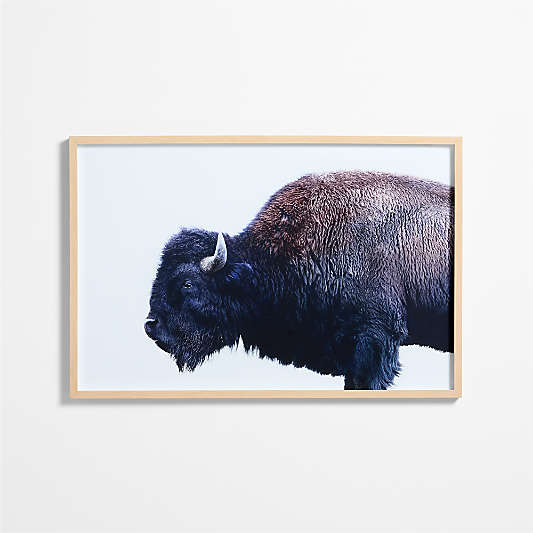 "Buffalo" by Jennifer MaHarry 51"x34" Framed Photography Print