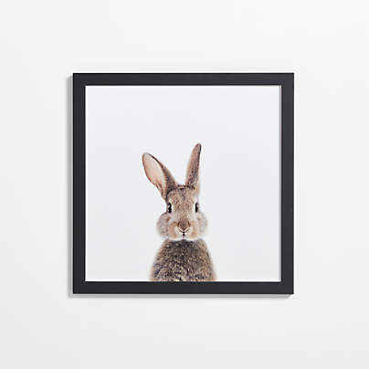 Baby Bunny Black Wood Framed Wall Art Print