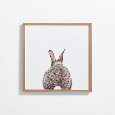 Baby Bunny Tail Walnut Wood Framed Wall Art Print