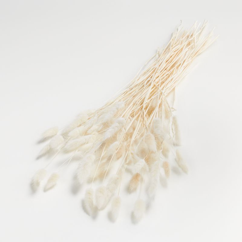 Bleached Bunny Tail Bunch Dried Botanicals - image 3 of 5