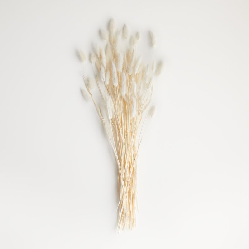 Bleached Bunny Tail Bunch Dried Botanicals