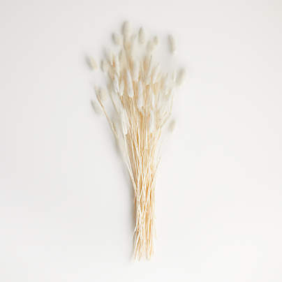 Bleached Bunny Tail Bunch Dried Botanicals