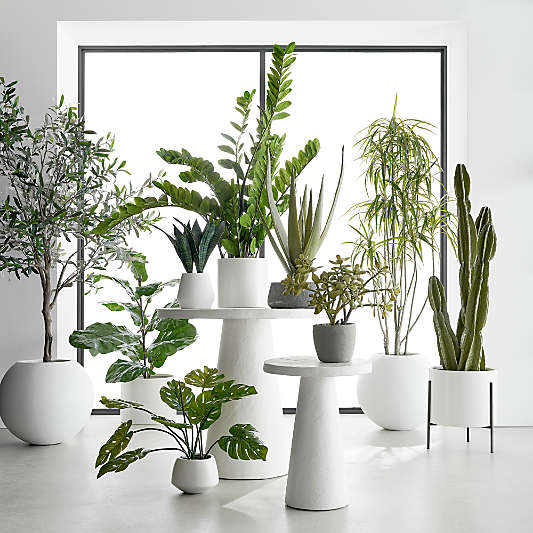 Potted Faux Jade Plant