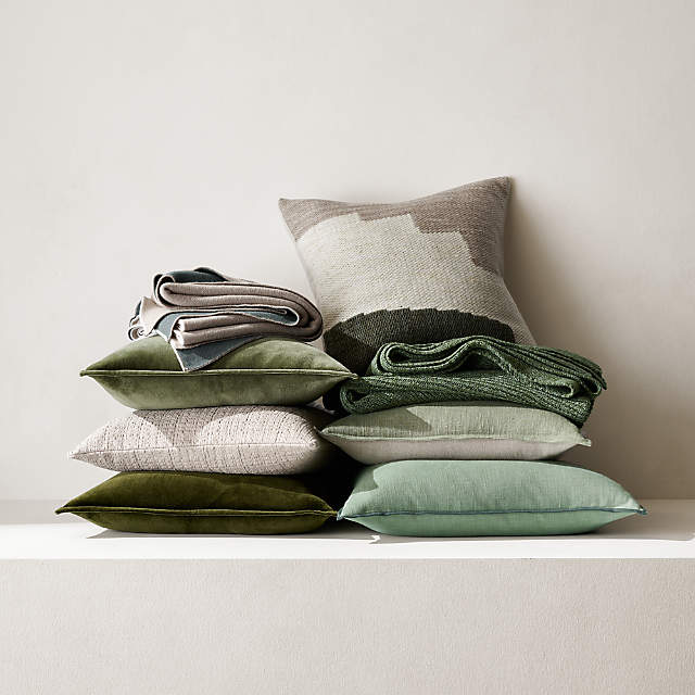 Crate and 2025 barrel velvet pillows