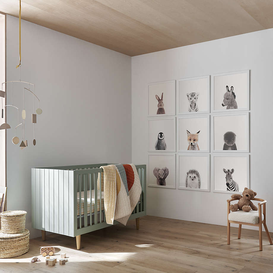 Baby Zebra Framed Wall Art Print Reviews Crate Kids
