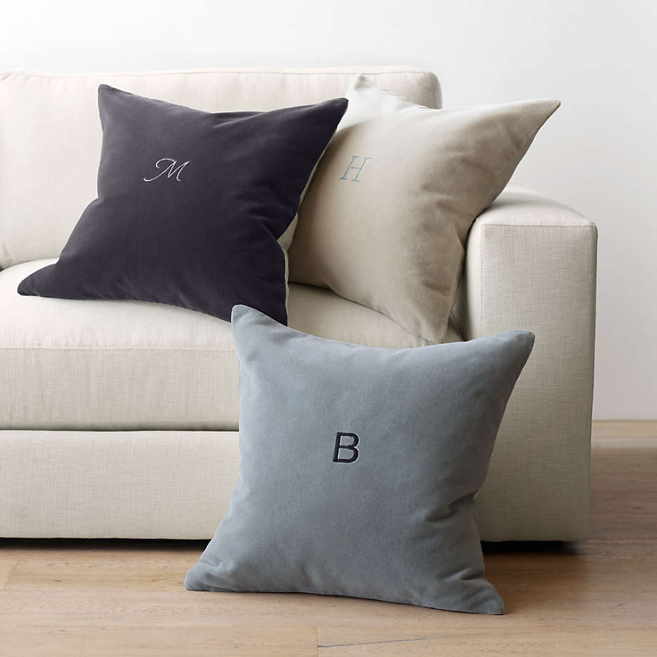 Crate and sales barrel pillow cover