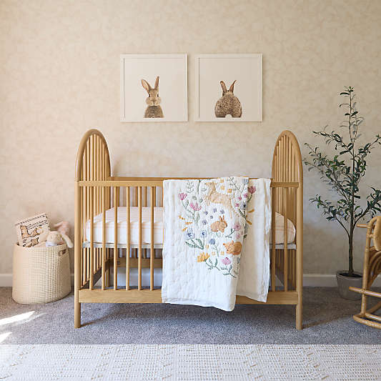 Canyon Natural Spindle Wood Convertible Baby Crib by Leanne Ford