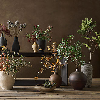 Stems & Branches