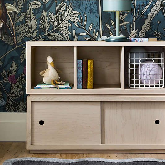 Cade Set of 2 Sunwashed Wood Stackable Sliding Door Cube Bookcase