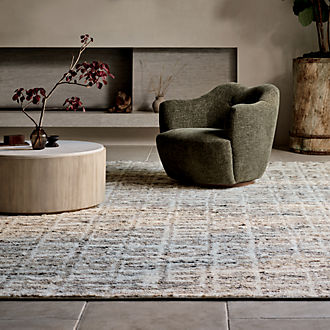 Living Room Rugs