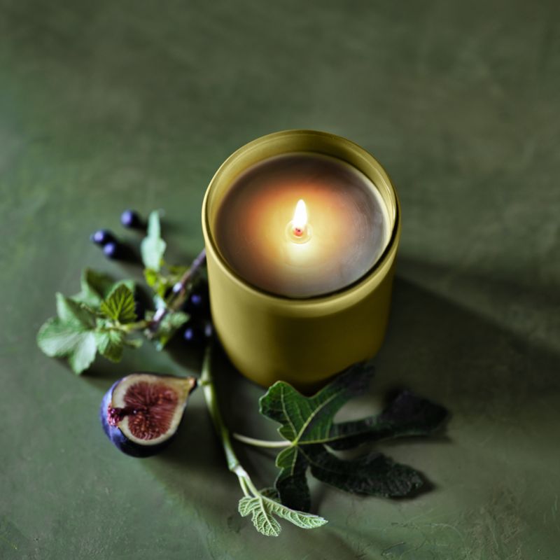 Monochrome No. 17 Verde 3-Wick Scented Candle - Currant, Green Fig and Birch - image 1 of 6