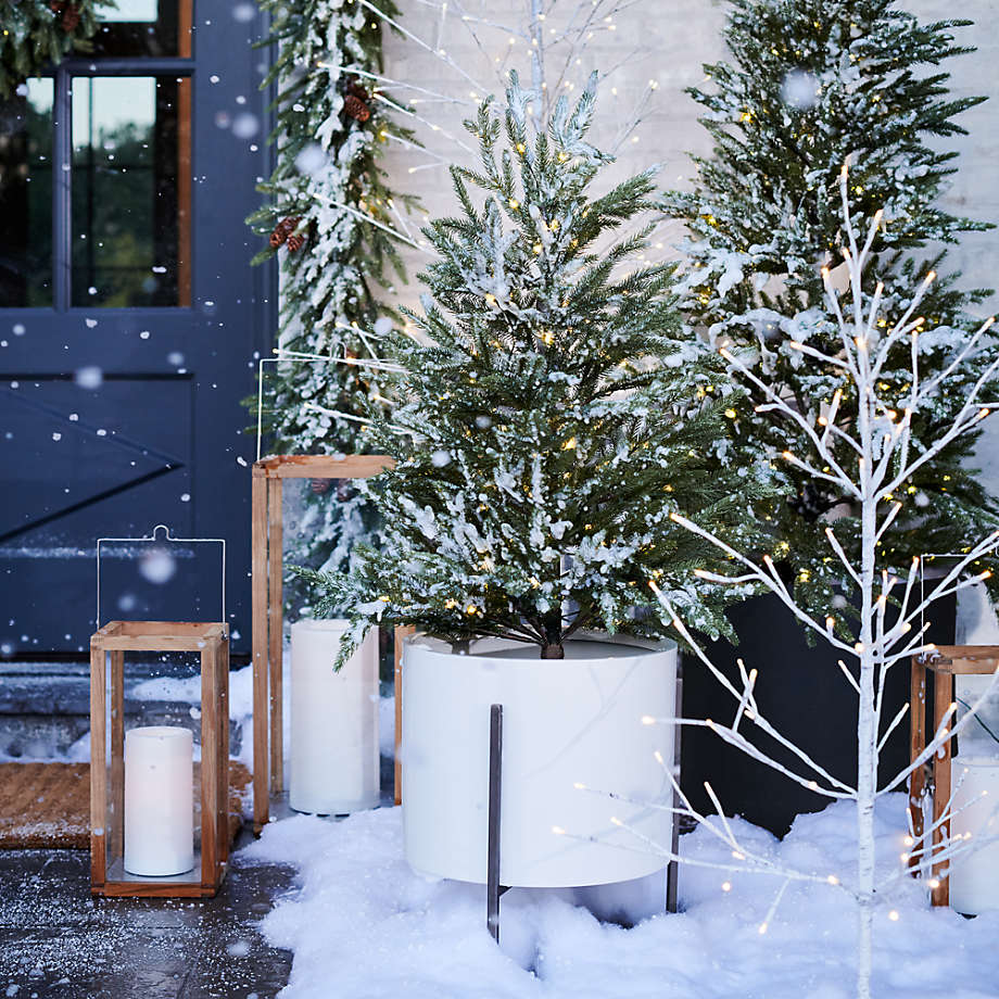 Crate and barrel led cheap birch tree