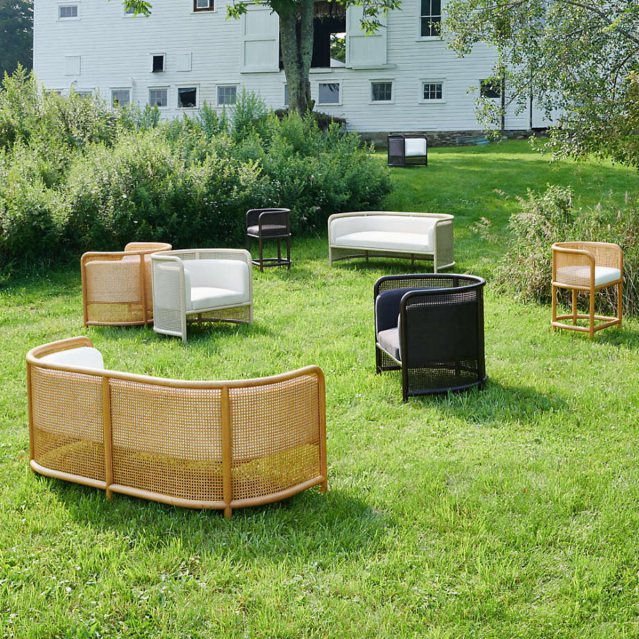 Crate and barrel cane chairs sale