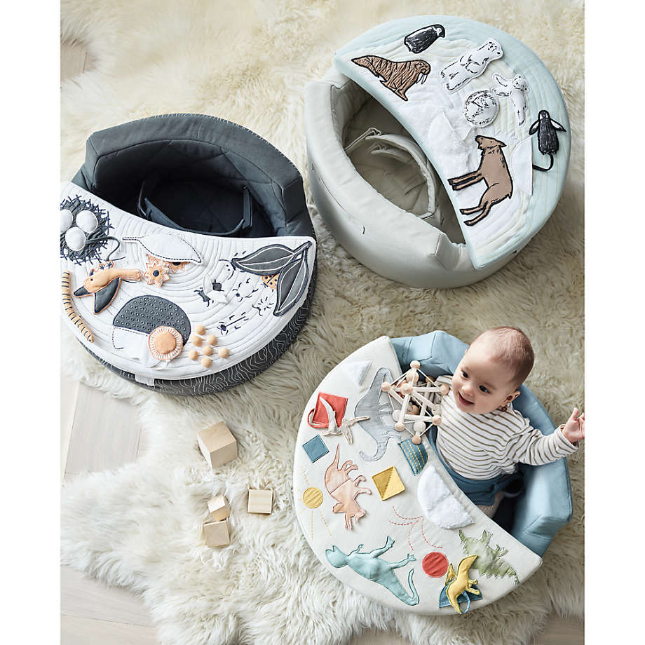 Crate and shop barrel activity chair
